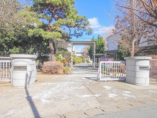 小学校 800m 柏市立柏第一小学校