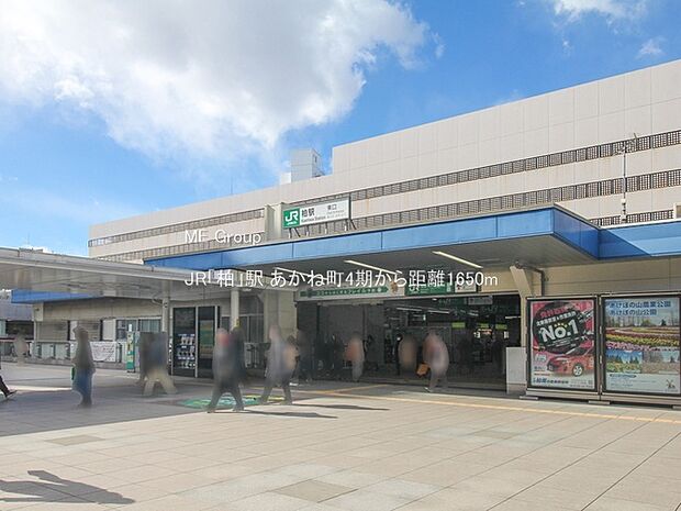 駅 1650m JR「柏」駅