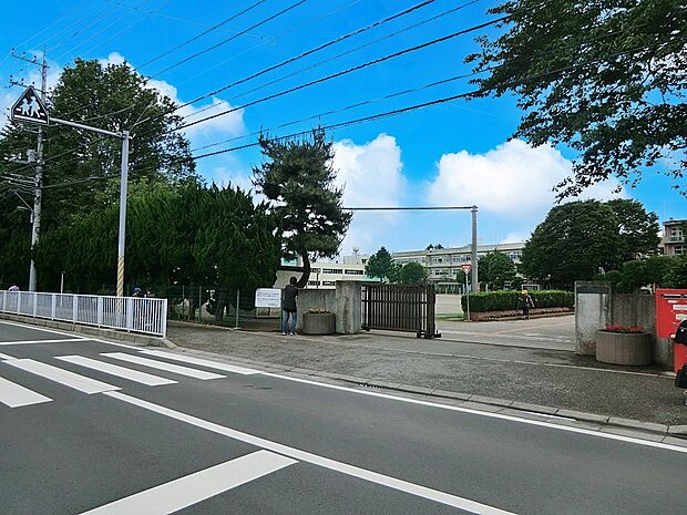 小学校 500m 柏市立西原小学校