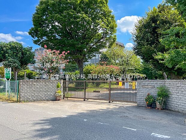 小学校 370m 柏市立高田小学校