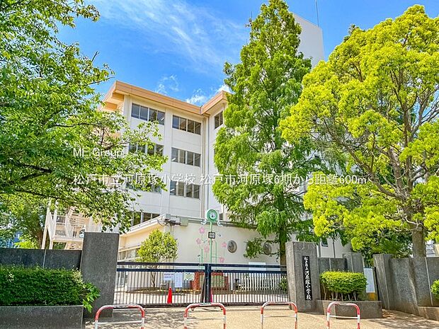 小学校 600m 松戸市立河原塚小学校