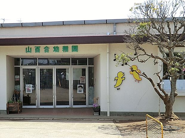 幼稚園・保育園 800m 山百合幼稚園