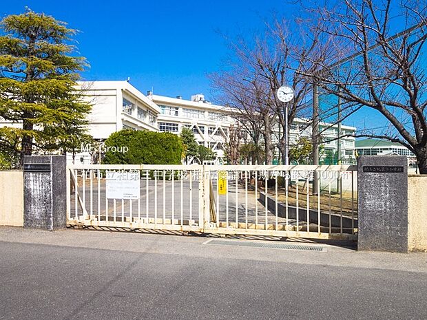 中学校 1000m 柏市立柏第三中学校
