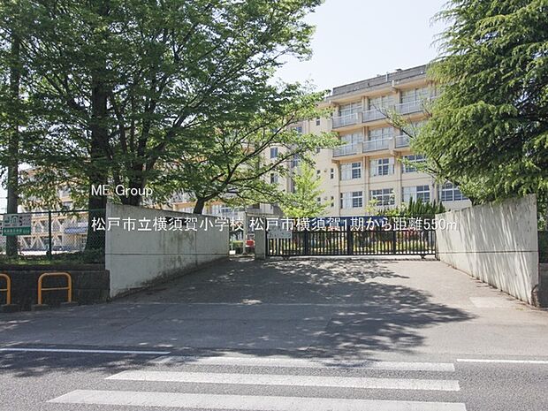 小学校 550m 松戸市立横須賀小学校