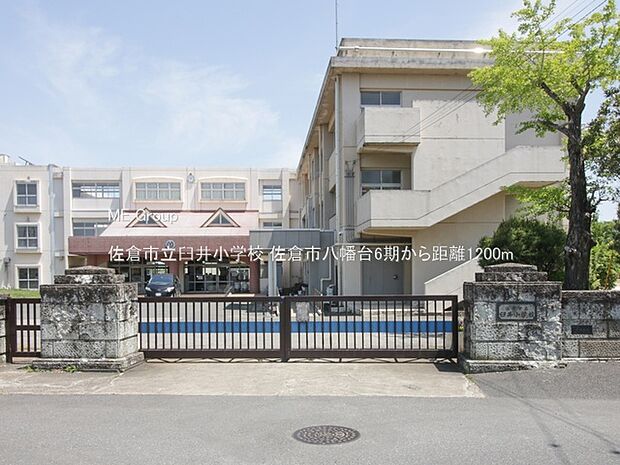 小学校 1200m 佐倉市立臼井小学校