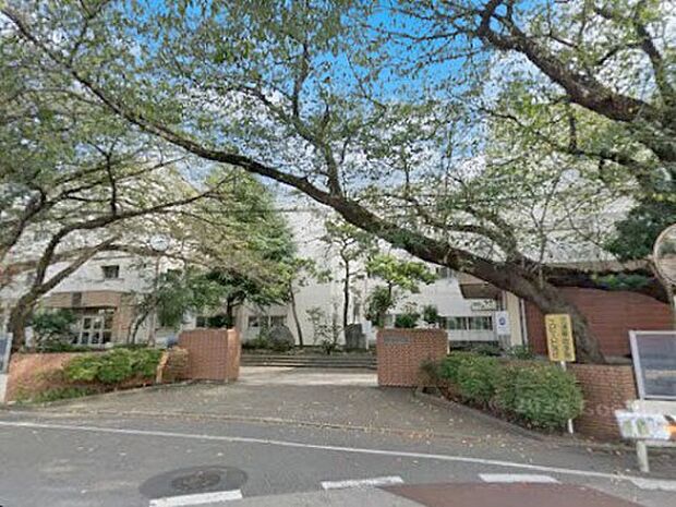 中学校 1100m 千葉市立緑町中学校