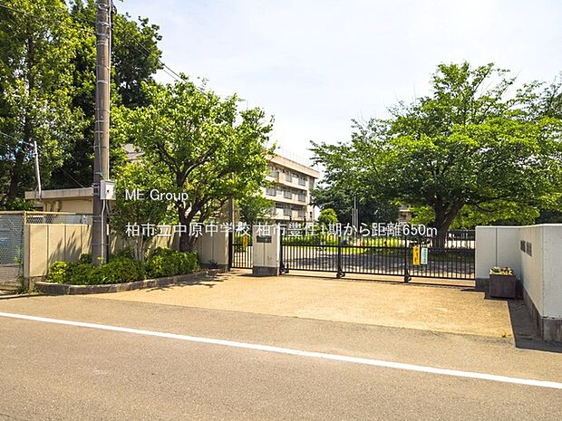 中学校 650m 柏市立中原中学校