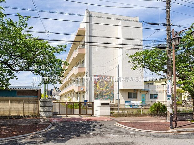 小学校 890m 市川市立曽谷小学校