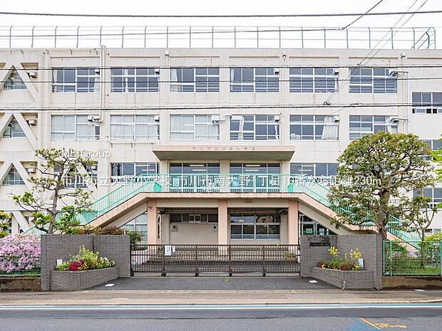 小学校 230m 市川市立大野小学校