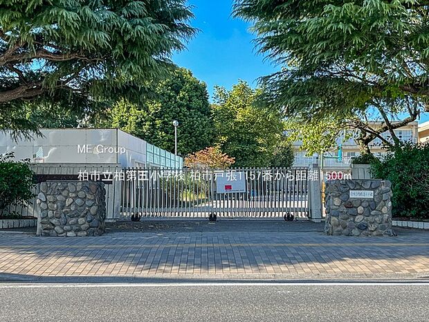 小学校 1500m 柏市立柏第五小学校
