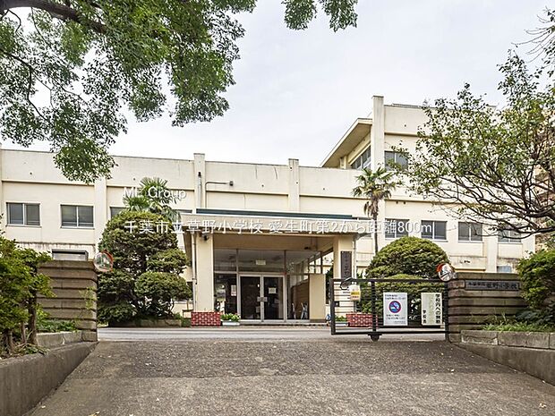 小学校 800m 千葉市立草野小学校