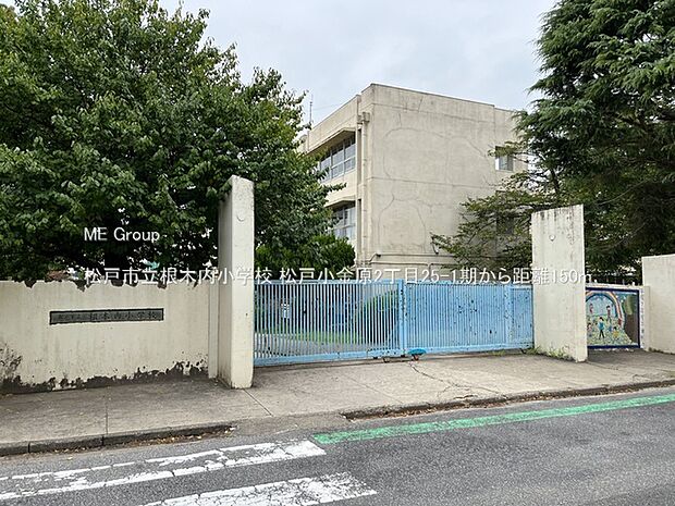 小学校 150m 松戸市立根木内小学校
