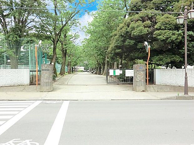 中学校 1400m 柏市立柏中学校