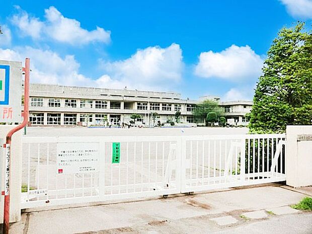 小学校 300m 柏市立旭東小学校