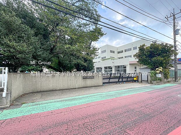 小学校 700m 船橋市立八木が谷小学校