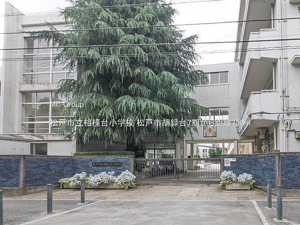 小学校 750m 松戸市立相模台小学校