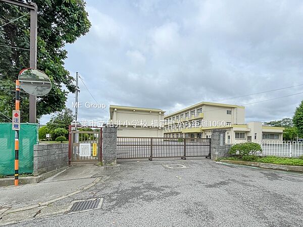 小学校 1050m 千葉市立柏井小学校