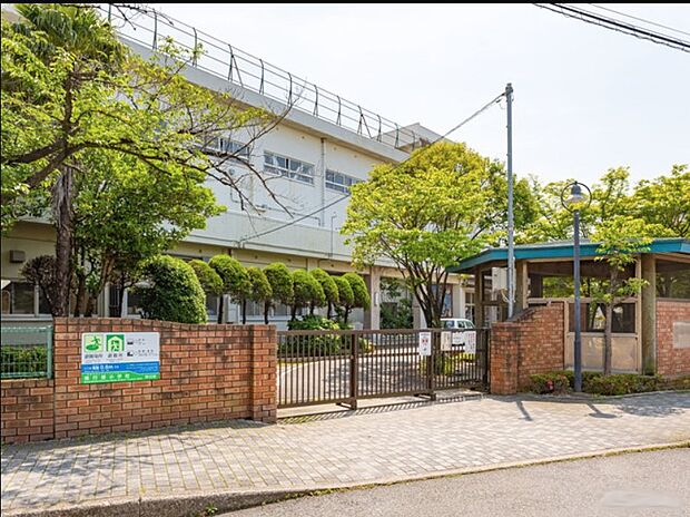 小学校 350m 市川市立南行徳小学校
