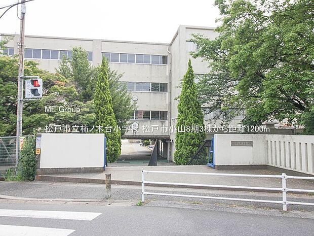 小学校 1200m 松戸市立柿ノ木台小学校