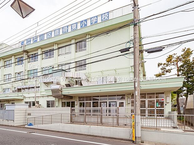 小学校 550m 江戸川区立鹿骨東小学校