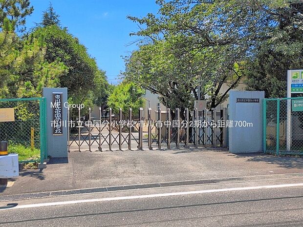 小学校 700m 市川市立中国分小学校