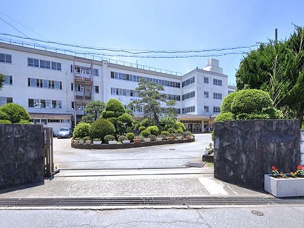 中学校 290m 八千代市立八千代中学校