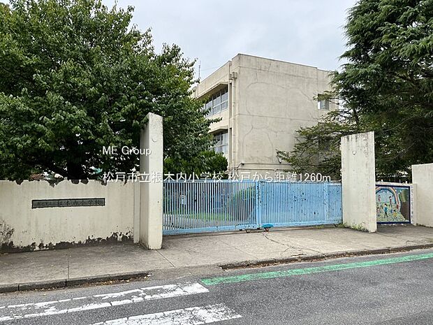 小学校 1260m 松戸市立根木内小学校
