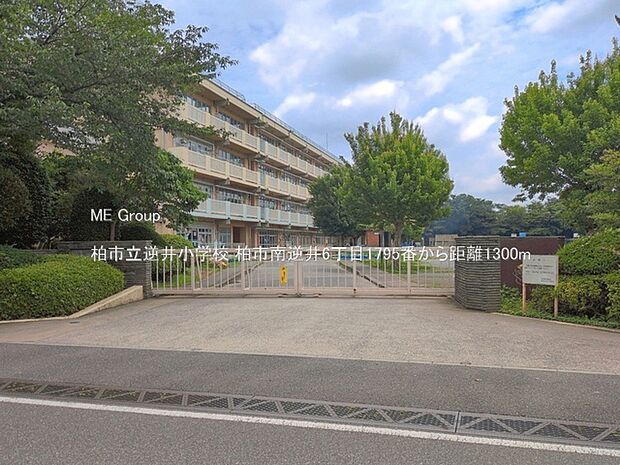 小学校 1300m 柏市立逆井小学校