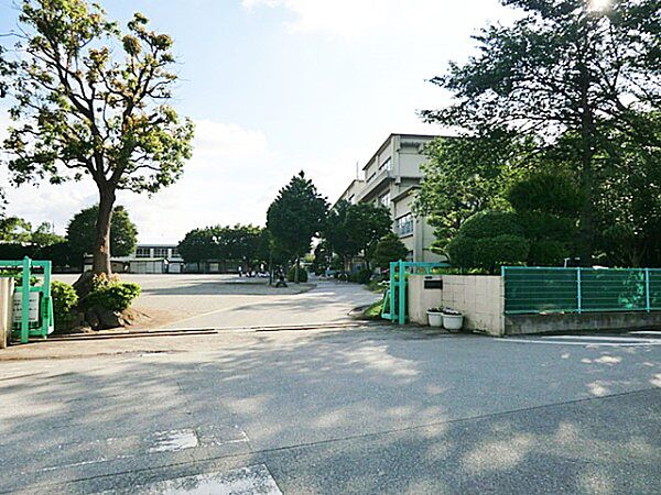 小学校 350m 柏市立柏第八小学校