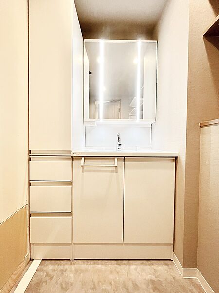 収納力と機能性に優れた洗面化粧台  　　