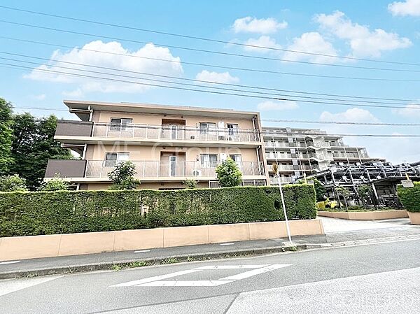 溢れる陽光でご家族の笑顔も輝く