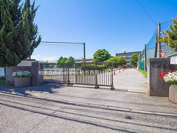 小学校 700m 柏市立西原小学校