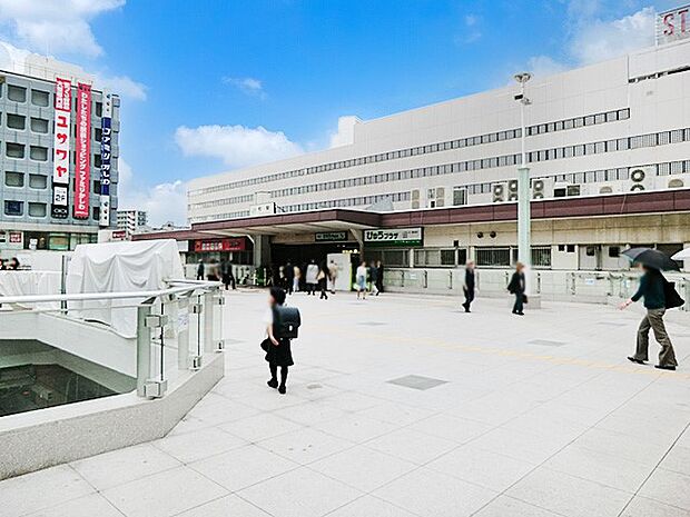 駅 1600m 柏駅