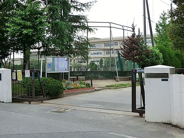 中学校 1100m 柏市立柏第四中学校
