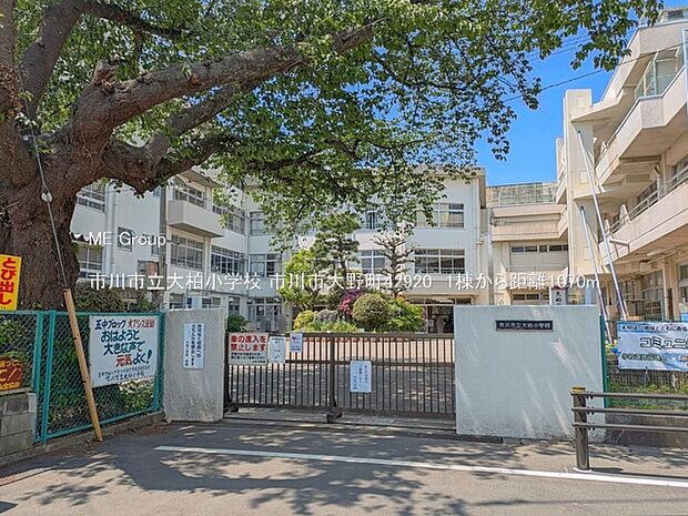小学校 1070m 市川市立大柏小学校