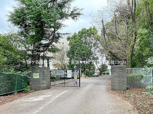 中学校 2300m 鎌ケ谷市立第五中学校
