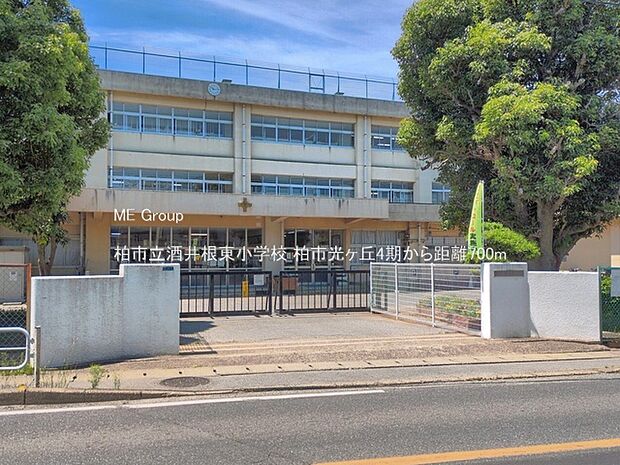 小学校 700m 柏市立酒井根東小学校