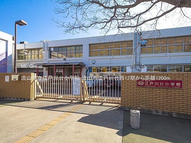 小学校 1200m 流山市立江戸川台小学校