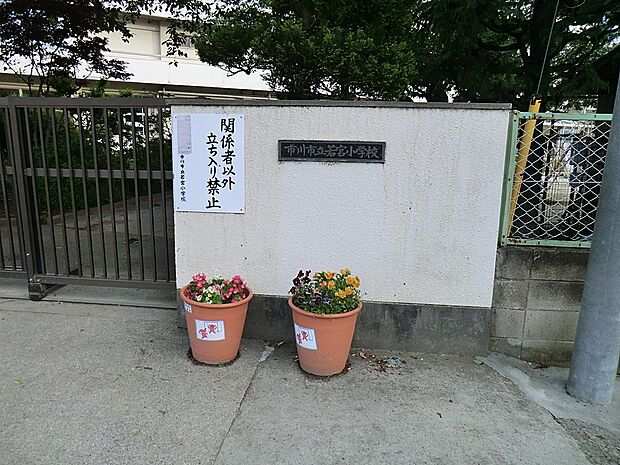 小学校 362m 市川市立若宮小学校