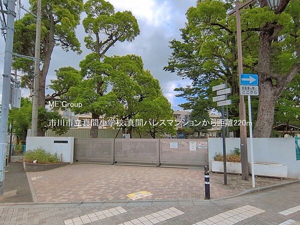 小学校 220m 市川市立真間小学校