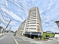 ホーリーウッド稲毛