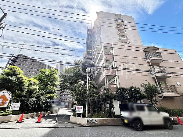 溢れる陽光でご家族の笑顔も輝く