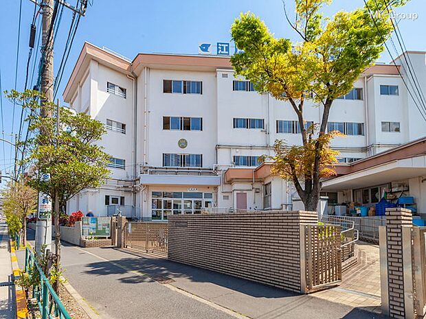 中学校 500m 江戸川区立鹿本中学校