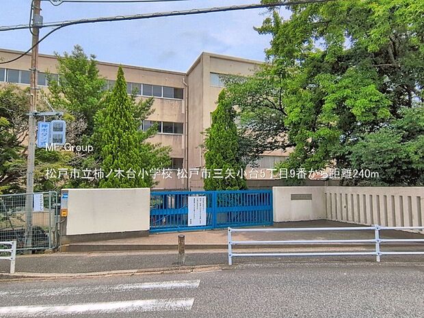 小学校 240m 松戸市立柿ノ木台小学校