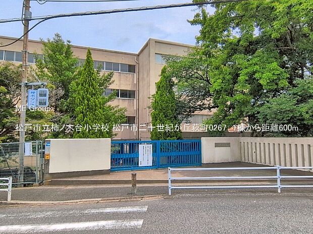 小学校 600m 松戸市立柿ノ木台小学校