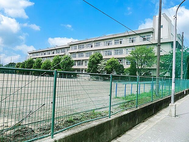 中学校 855m 市川市立第八中学校