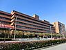 周辺：病院 800m 順天堂大学医学部附属浦安病院