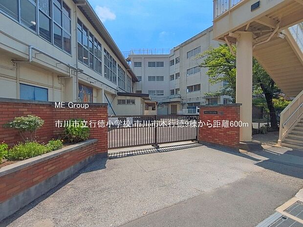 小学校 600m 市川市立行徳小学校
