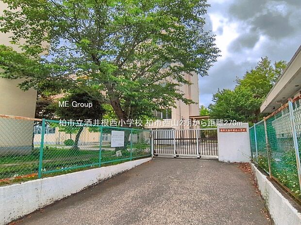 小学校 270m 柏市立酒井根西小学校