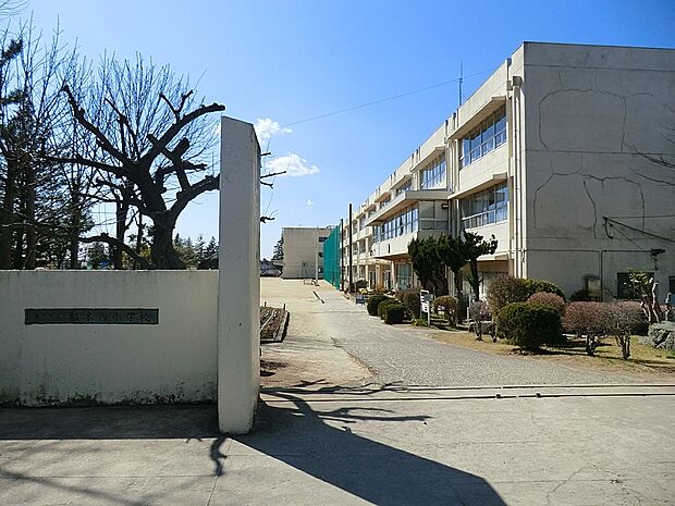 小学校 800m 松戸市立根木内小学校